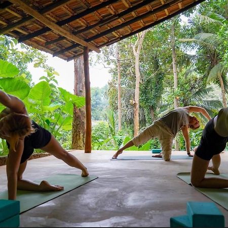 Into The Blue - Yoga Included & Walk To 3 Beaches Tangalle Buitenkant foto