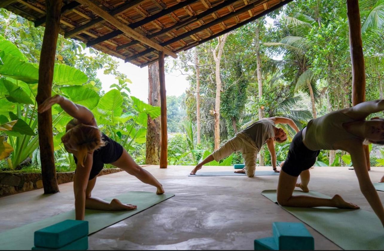 Into The Blue - Yoga Included & Walk To 3 Beaches Tangalle Buitenkant foto